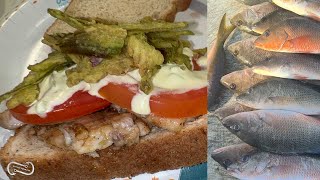 THE ULTIMATE SNAPPER FISH SANDWICH A MANGROVE SNAPPER FEAST [upl. by Henrik]