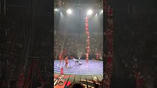 Circus circus Ringling Bros and Barnum amp Bailey Greensboro coliseum [upl. by Llerral]