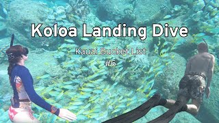 Diving Kauais Koloa Landing [upl. by Milissa]