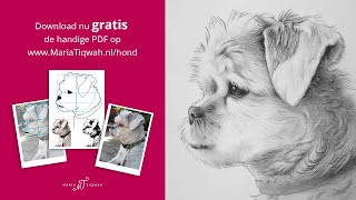 Realistische hond tekenen met grijs potlood en theelepeltje [upl. by Annairdua]