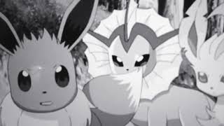 Eeveelutions AMV  All We Know MY BIRTHDAY [upl. by Aziul]