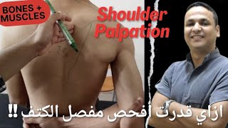 Learn Shoulder Palpation for Better Assessment amp Treatment  فحص مفصل الكتف [upl. by Norita]