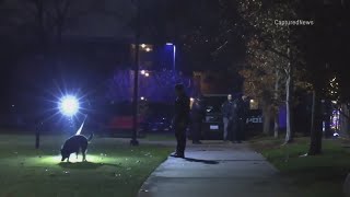 Three teens arrested in suspected gangrelated shooting in Des Plaines [upl. by Assirek860]