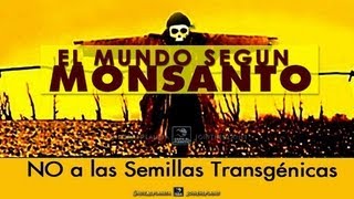 quotEL MUNDO SEGÚN MONSANTOquot  Documental completo doblado al Español [upl. by Daniella]