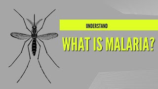 A Comprehensive Guide to Malaria Causes Symptoms and Treatment [upl. by Johnathon102]