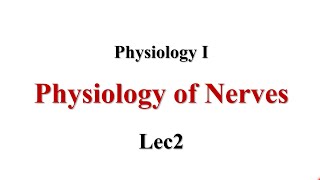 Resting Membrane Potential RMP Lec2 Physiology I [upl. by Eustashe]