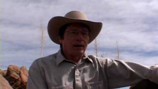 Tremors the movie  SS Wilsons Stories  the idea behind the film [upl. by Are]