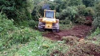 Komatsu D65PX clearing land [upl. by Ecirum]