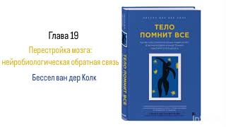 ТЕЛО ПОМНИТ ВСЕ Глава 19 Перестройка мозга нейробиологическая обратная связь [upl. by Elohcan]