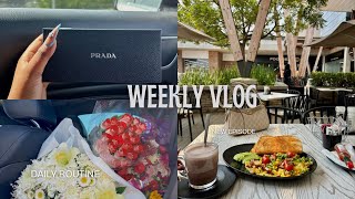 MOST REALISTIC WEEK IN THE LIFE vlog last day of vlogtober [upl. by Ladnek367]