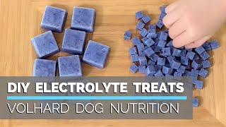 How to Make Electrolyte Treats for your Dog  DIY Healthy Treats Perfect for Summer [upl. by Lynnette]