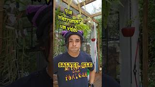 Interrompi o video por causa de um passarinho 👀 shorts [upl. by Jeu]