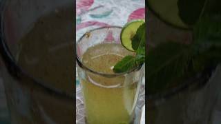 Pulse mojito drink [upl. by Elma]