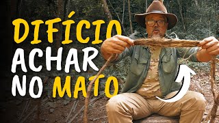 Como PROCESSAR o CIPÃ“ para usar em SITUAÃ‡Ã•ES de SOBREVIVÃŠNCIA ou em CONTRUÃ‡Ã•ES BUSHCRAFT [upl. by Dnaloy]