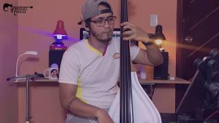 Abuelita  Hector Lavoe Cover Bass [upl. by Ahsilam]