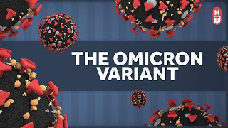 What We Know About the Covid Omicron Variant [upl. by Serdna]