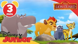 The Lion Guard  Paintings and Predictions  Disney Junior UK [upl. by Atsylak748]