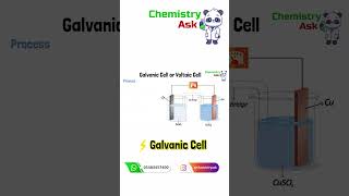 Galvanic Cell  oxidation reduction shorts youtubeshorts [upl. by Aihsile]