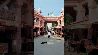 🕉️🚩 vishwanath mandir Varanasi  Banaras 🚩omnamahshivaya [upl. by Anerhs641]