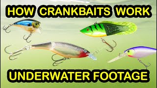 How To Fish Crankbaits and Types of Crankbaits  Underwater Fishing Lures amp Crankbait Tips [upl. by Ynot465]