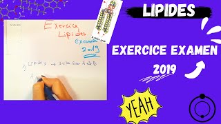 📣5 Les Lipides  EXERCICE EXAMEN 2019 اقوى شرح لللبيدات😍 BIOCHIMIE​​ SNV​ triglycerides [upl. by Atiekram]