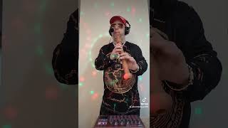 Recorder player tenor solo and Joe Biden anti Cryptocurrency SEC CFTC Bitcoin Hip Hop Rapper Rap [upl. by Ursi]