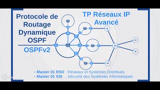 Protocole de Routage Dynamique OSPF  OSPFv2 [upl. by Kemeny]