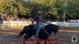 LOS CUATRO ASES Vs EL BUFALO DE JOSE SANTOS EL PORTUGUES EN EL PALOMINOS DE BAKERSFIELD CA 91724 [upl. by Meletius]