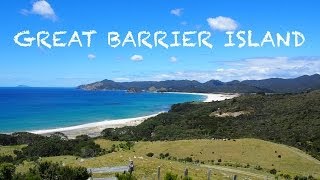 Great Barrier Island  New Zealand [upl. by Uria566]