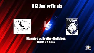 U13 Magpies vs Brother Bulldogs [upl. by Minabe]