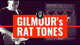 David Gilmours Rat tones  Overdrive distortion and fuzz in ONE pedal [upl. by Berry325]