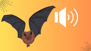 The Sound of the Bat  The secret language of the bat 🔊 [upl. by Htaeh]