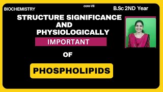 Structure And Physiologically Important of Phospholipids BSc 2nd Yearlipids phospholipids [upl. by Craggy]