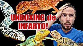 UNBOXING de ESPECIES ALTAMENTE BRUTALES REPTILES HIGH LEVEL Con cual os quedais 🐍🦖🐸🐉 [upl. by Ecirtnom]