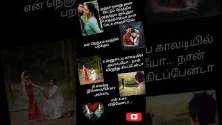 velli nilave song lyrics tamilsong songlyrics love trending shortsviral [upl. by Ymia]