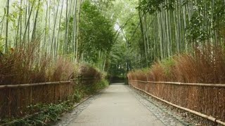 Top 10 Hoshino Resorts in Japan 2024 [upl. by Notlih848]