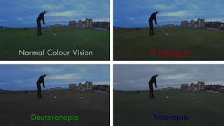 Protanopia vs Deuteranopia vs Tritanopia On St Andrews Golf Links [upl. by Gnuh]