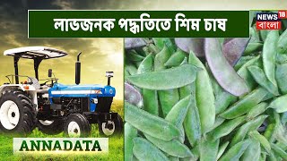 Beans Farming  লাভজনক পদ্ধতিতে দেশি জাতের শিম চাষের পদ্ধতি জানতে দেখে নিন আজকের Annadata [upl. by Gnanmos161]