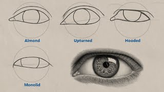 How to Draw Hyper Realistic Eye  Tutorial for BEGINNERS [upl. by Aivatnwahs]