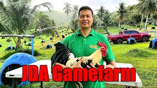 Lets Visit The Farm Of JDA Gamefarm [upl. by Meunier]