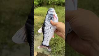 Fish Toy \ New Viral Gadget Smart Appliances Home Invetion Kitchen Utensils [upl. by Noisla]