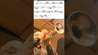 Sonata for Trumpet and Piano by R Christopher Teichler mvt 1  opening trumpet intheshed fun [upl. by Telfer]