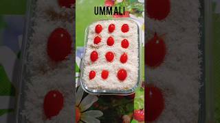 Umm Ali sweets yammyshortsvideo india recipe youtubeshorts [upl. by Accalia823]