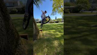 Ok I’m turnt 🔥🔥🗿💪 freeridemtb mtb mtbbikes freeride [upl. by Hitt]