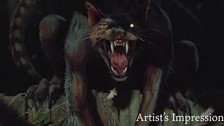 The Case of the Werecat  A Promotional Video for Werecat [upl. by Bak981]