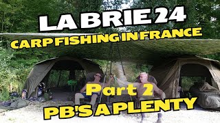 La Brie  Carp Fishing In France  PBs A PLENTY Part 2 [upl. by Sseb165]