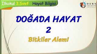 DOĞADA HAYAT  2  BİTKİLER ALEMİ [upl. by Douglass]