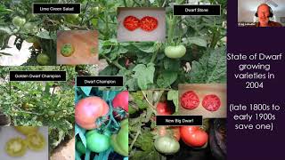 Dwarf Tomato Breeding Webinar with Craig LeHoullier [upl. by Shaefer]