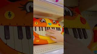 Meowsic keyboards with sound effects 😹🤪🎹satisfying asmrsounds shortvideo youtubeshorts [upl. by Siana14]