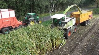 Chopping corn silage with Claas amp John Deere [upl. by Kirimia591]